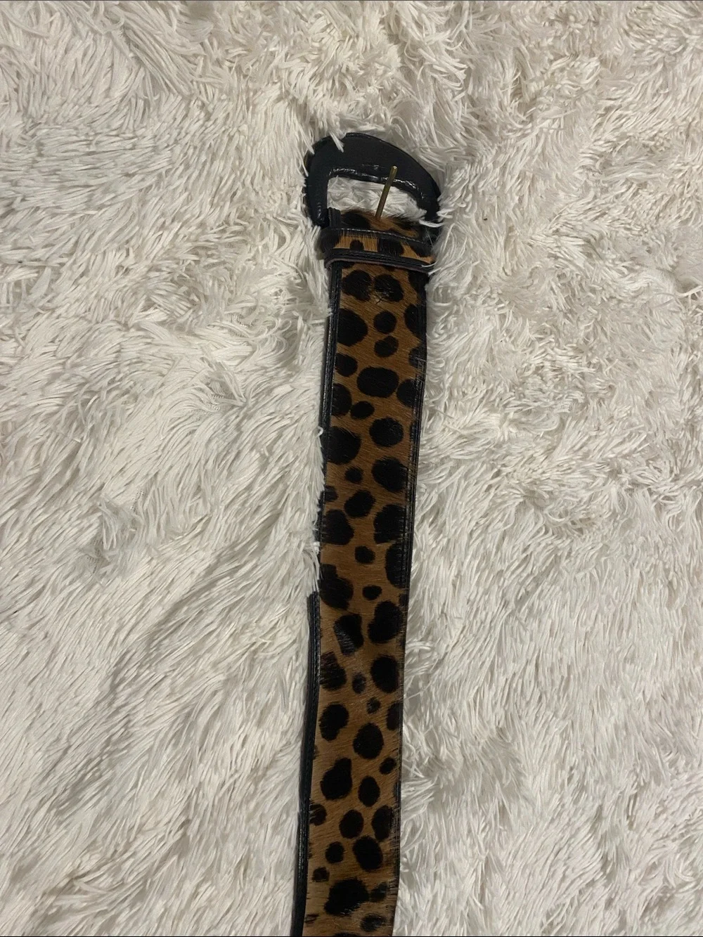 Ann Taylor Leopard Print Calf Hair Belt with Black Trim